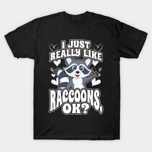 I Just Really Like Racoons OK T-Shirt